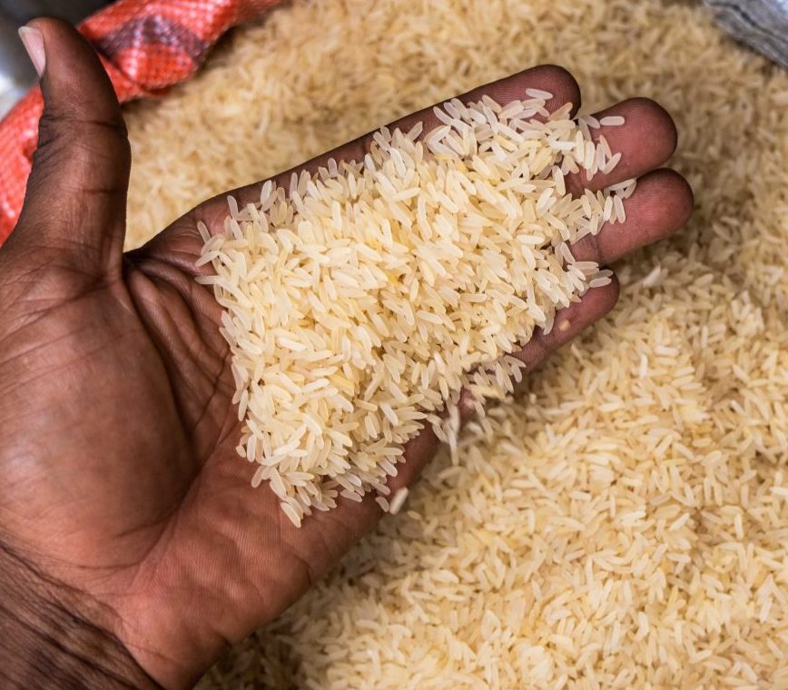 Fresh Rice Grains - Stockupfresh