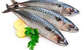 High-quality whole raw fresh fish on ice