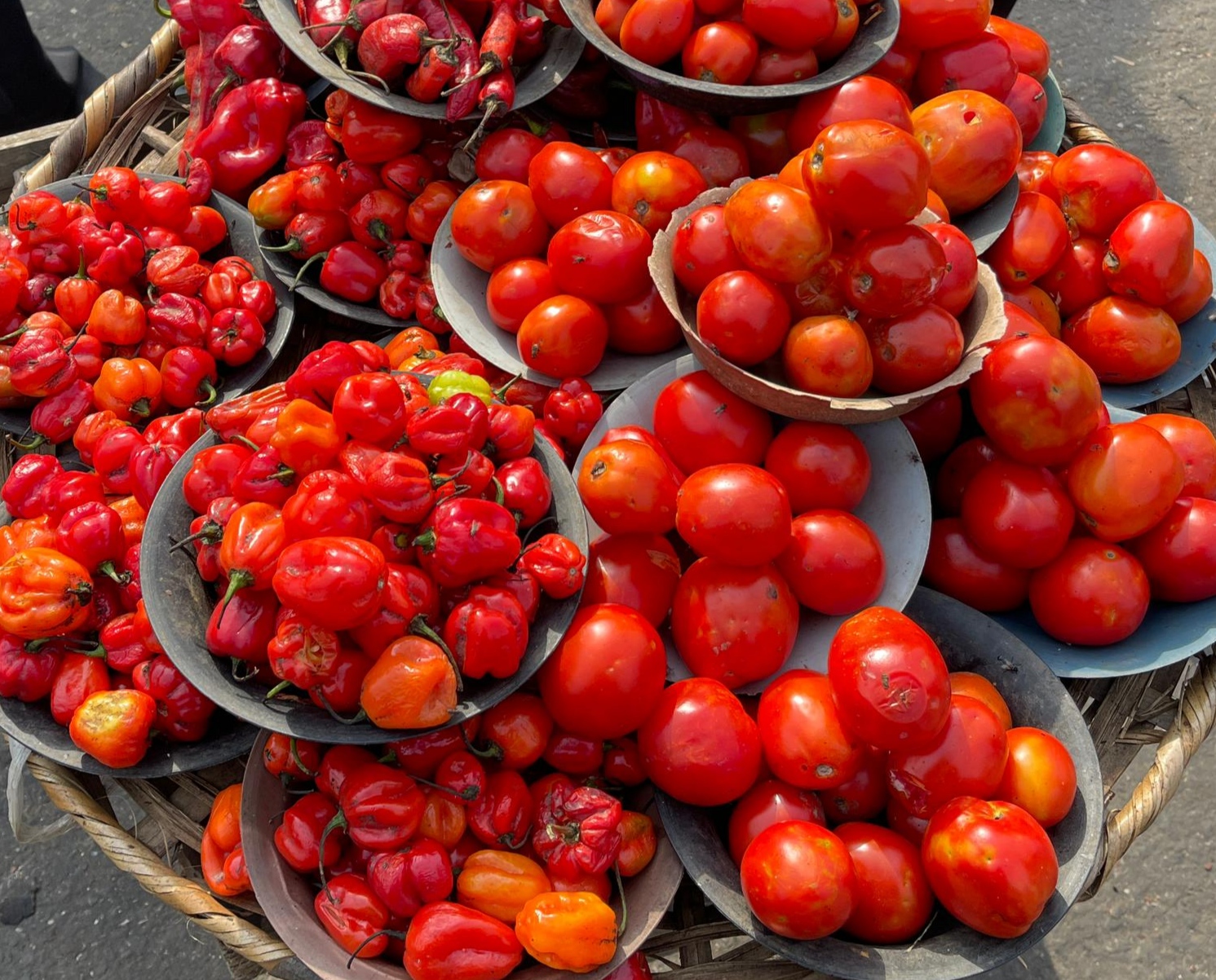 Vibrant ripe red tomatoes and peppers in bowls